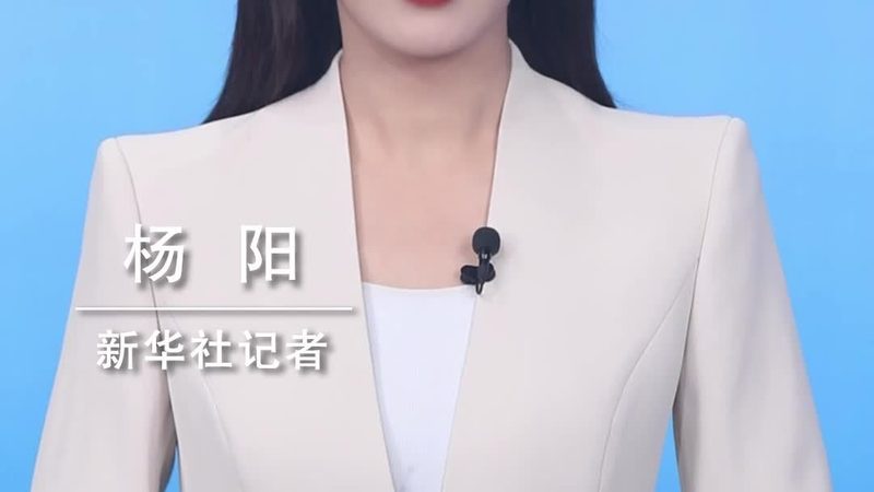 信息化建设项目管理流程书：构建高效IT项目的关键步骤